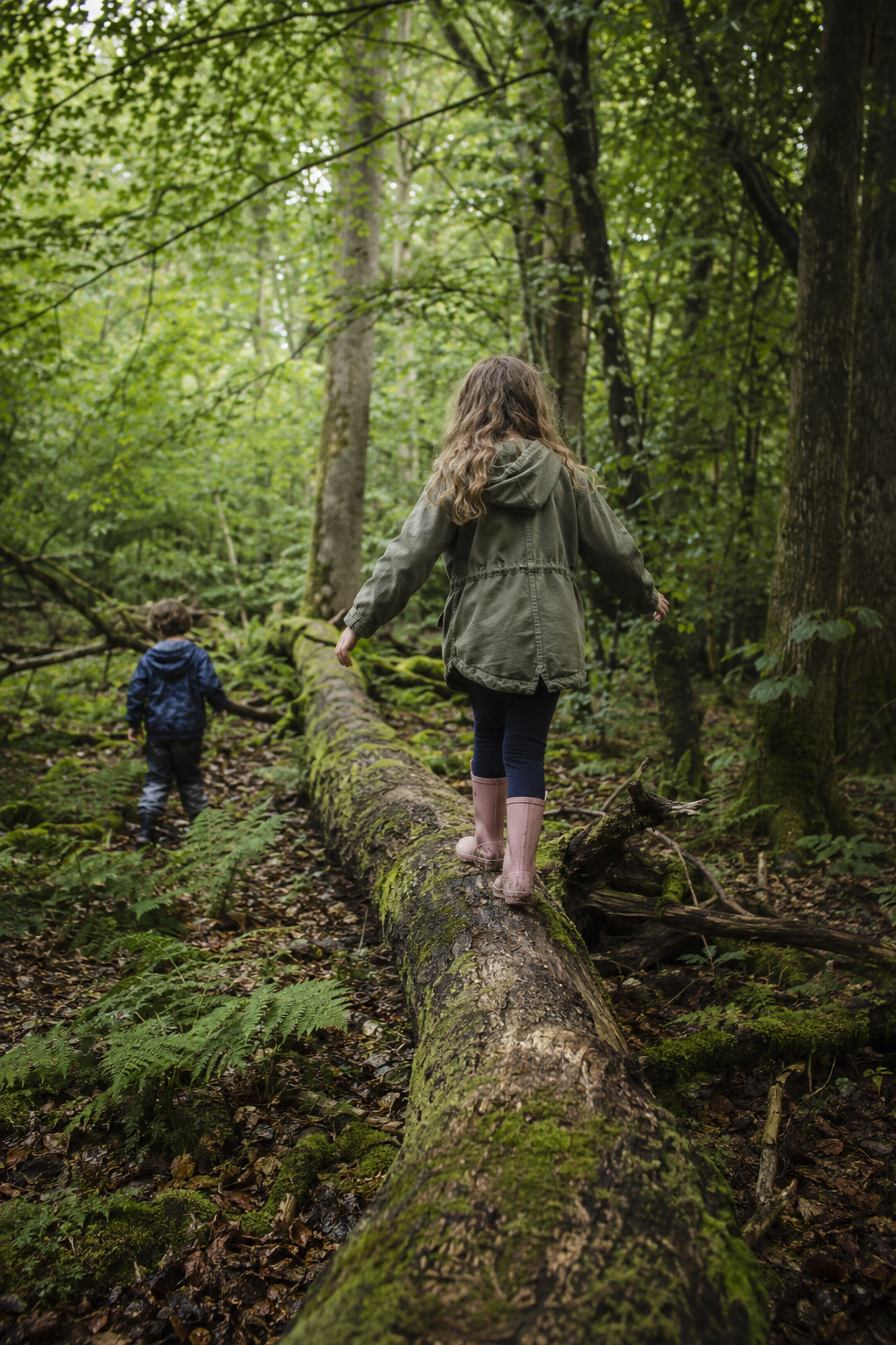 Children absorbed in play and exploration in a woodland setting